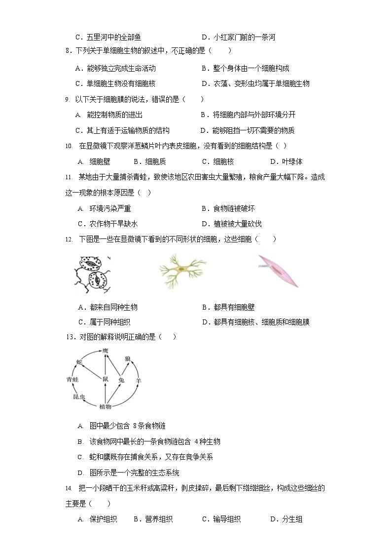河南省郑州市2023—2024学年七年级上学期期中评估检测生物模拟试卷02