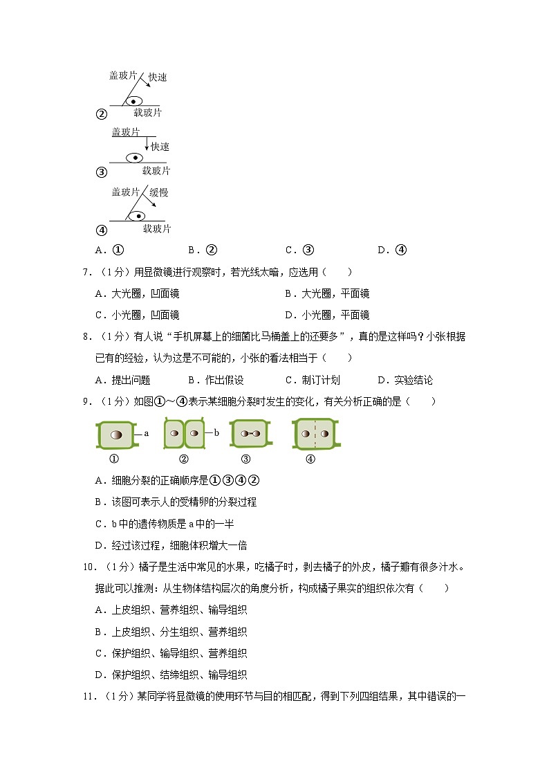 2023-2024学年江西省吉安市十校联考七年级（上）月考生物试卷（10月份）第2页