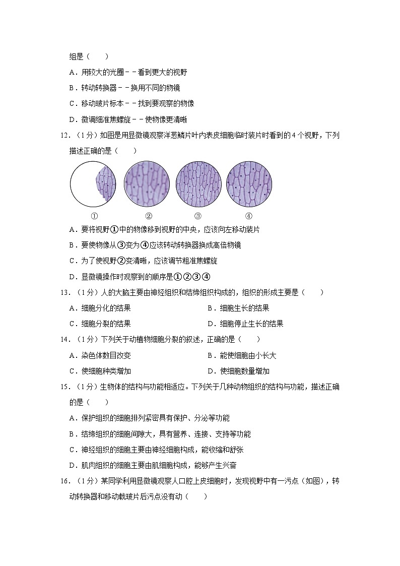 2023-2024学年江西省吉安市十校联考七年级（上）月考生物试卷（10月份）第3页