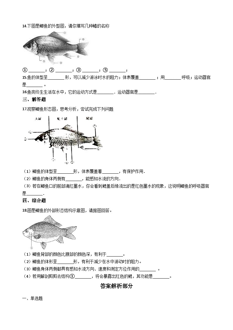 人教版八年级上册生物 5.1.4鱼 同步测试（解析版）02