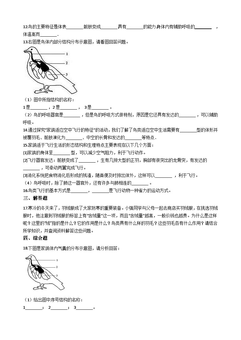 人教版八年级上册生物 5.1.6鸟 同步测试（解析版）02