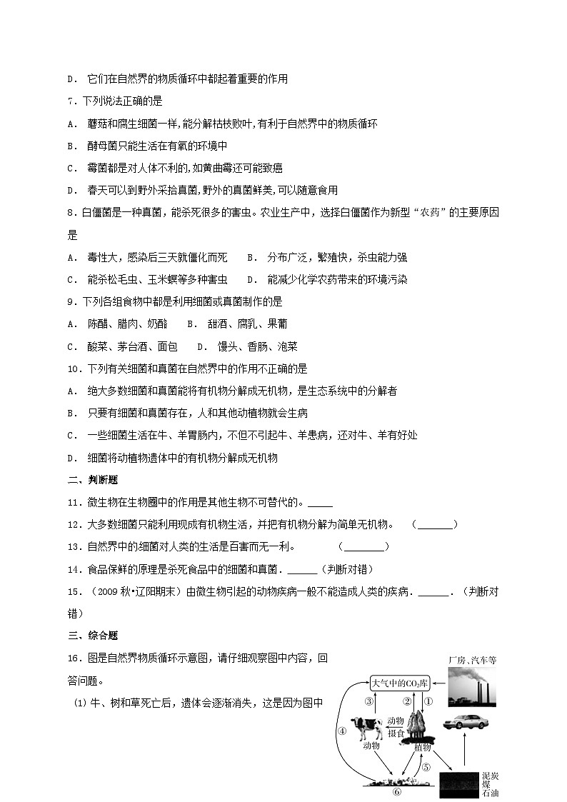 人教版八年级上册生物 5.4.4 细菌和真菌在自然界中的作用 同步测试02