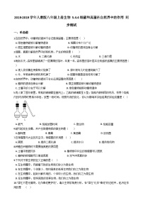 人教版 (新课标)八年级上册第五单元 生物圈中的其他生物第四章  细菌和真菌第四节   细菌和真菌在自然界中的作用当堂达标检测题