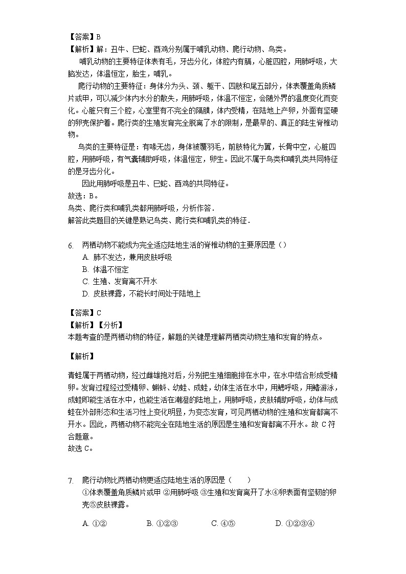人教版八年级生物上册5.1.5 两栖动物和爬行动物练习（含解析）教师用卷03