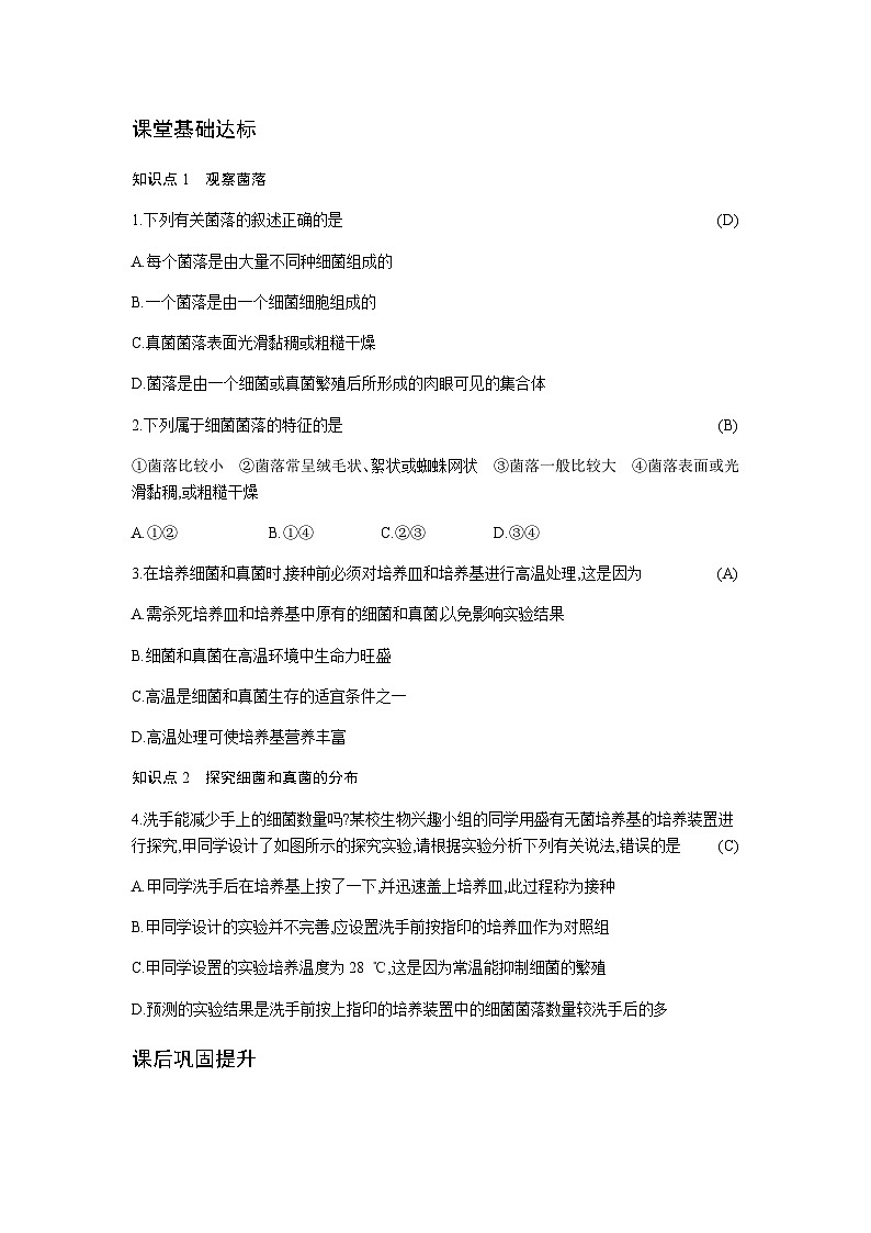 人教版八年级上册生物  5.4.1  细菌和真菌的分布 学案02