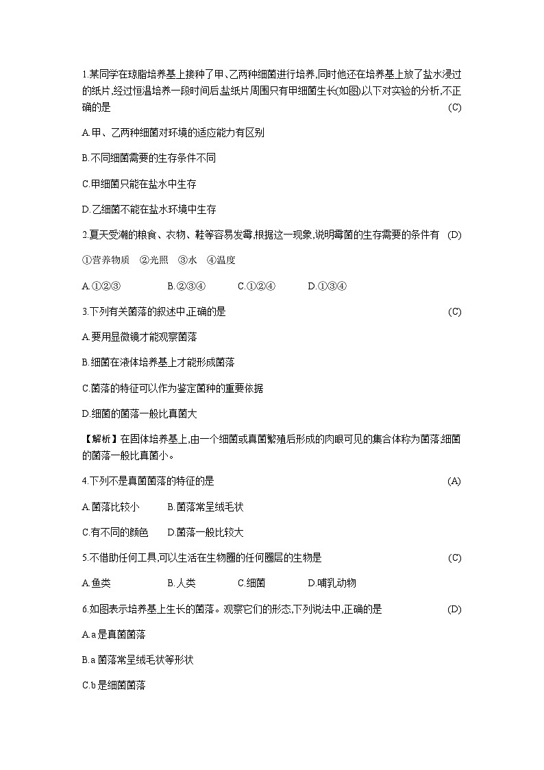 人教版八年级上册生物  5.4.1  细菌和真菌的分布 学案03
