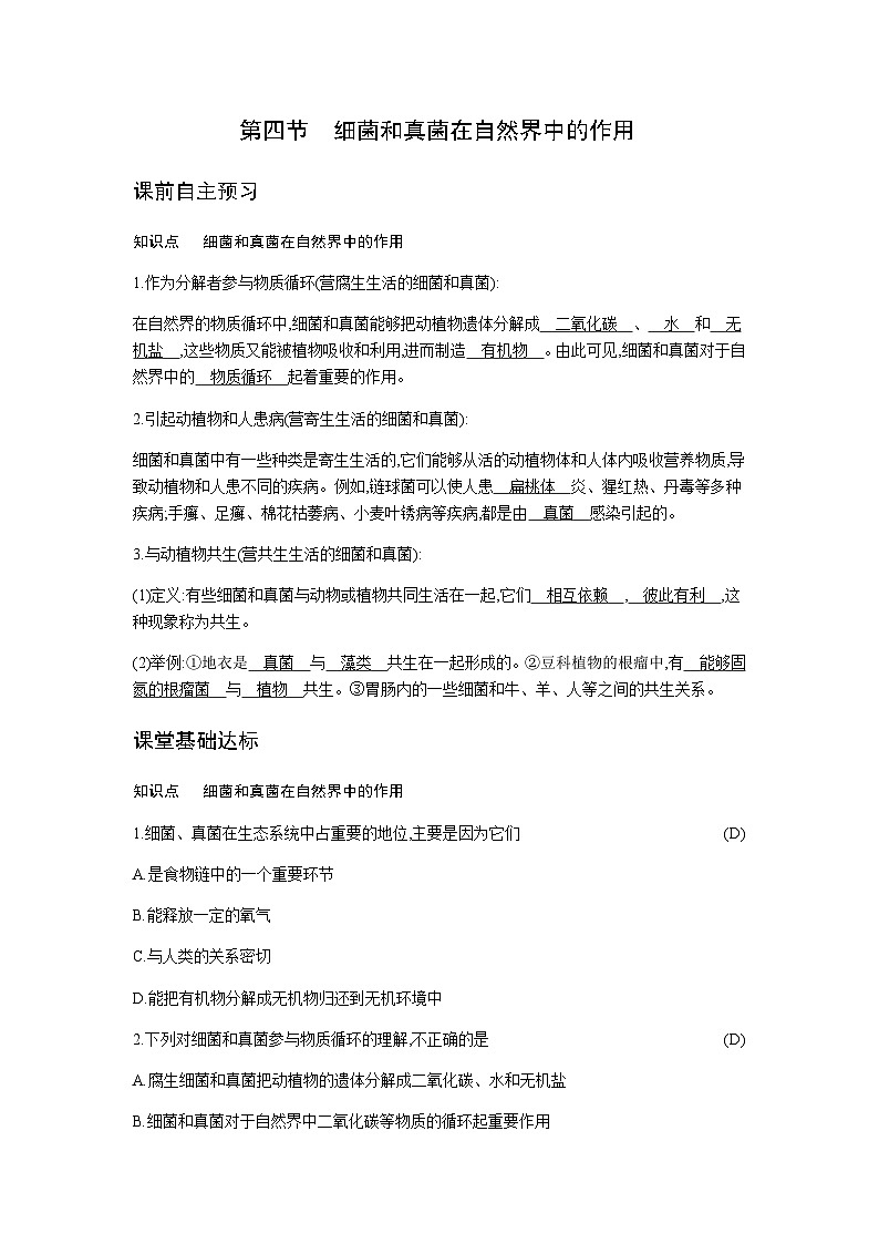 人教版八年级上册生物  5.4.4  细菌和真菌在自然界中的作用 学案01