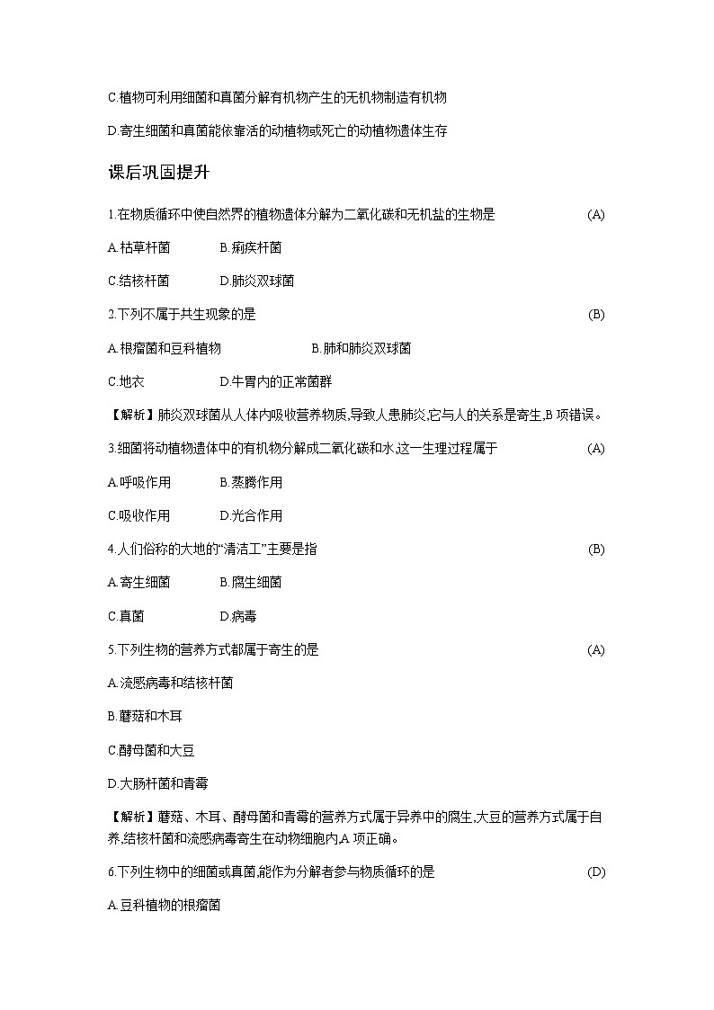 人教版八年级上册生物  5.4.4  细菌和真菌在自然界中的作用 学案02