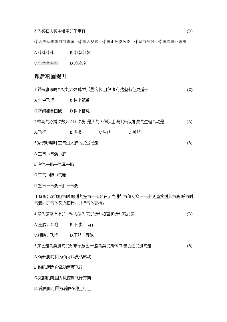 人教版八年级上册生物 5.1.6 鸟 学案第3页