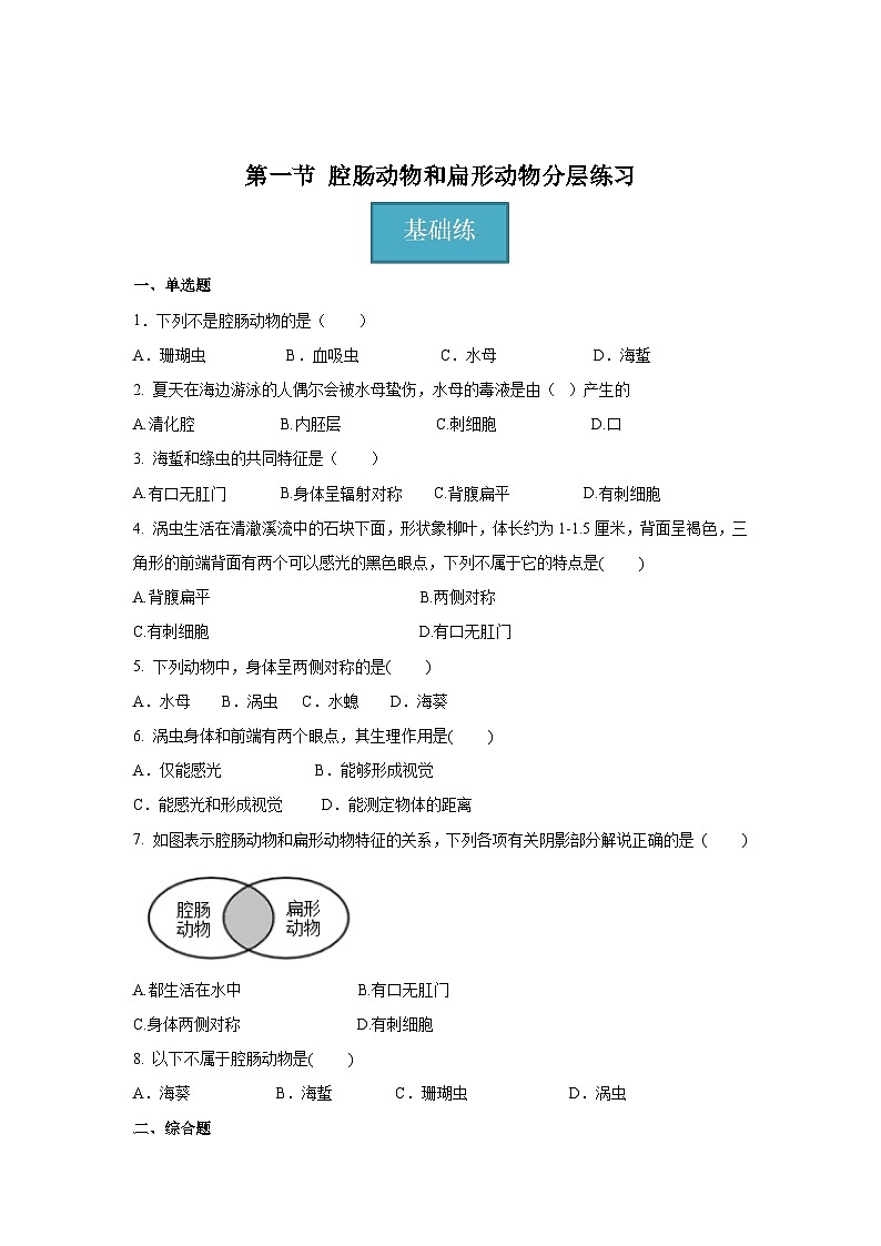 5.1.1+腔肠动物和扁形动物（同步课件+同步练习）-2023-2024学年八年级生物上册同步精品课堂（人教版）01
