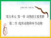 5.1.2+线形动物和环节动物（同步课件+同步练习）-2023-2024学年八年级生物上册同步精品课堂（人教版）