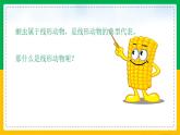 5.1.2+线形动物和环节动物（同步课件+同步练习）-2023-2024学年八年级生物上册同步精品课堂（人教版）