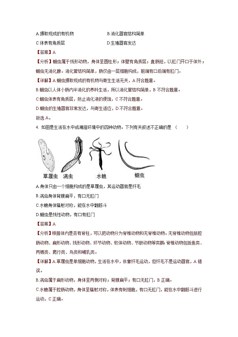5.1.2 线形动物和环节动物（分层练习）（解析版）第2页