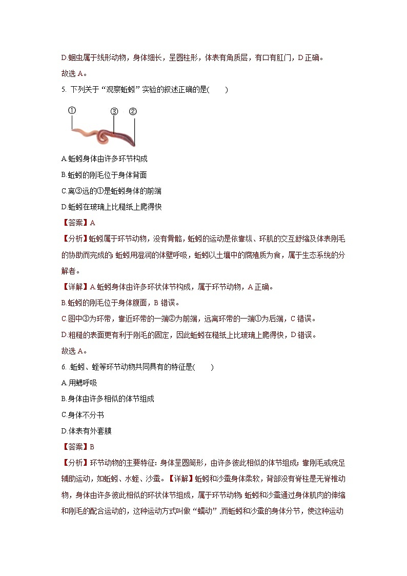 5.1.2 线形动物和环节动物（分层练习）（解析版）第3页