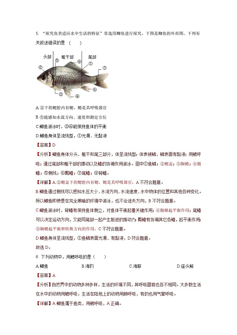5.14 鱼（分层练习）（解析版）第3页