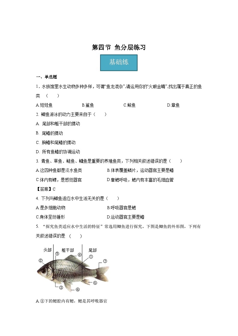 5.14 鱼（分层练习）（原卷版）第1页