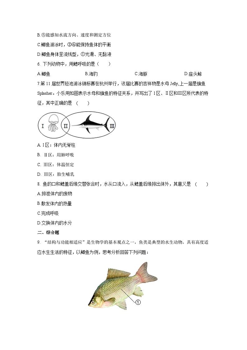 5.14 鱼（分层练习）（原卷版）第2页