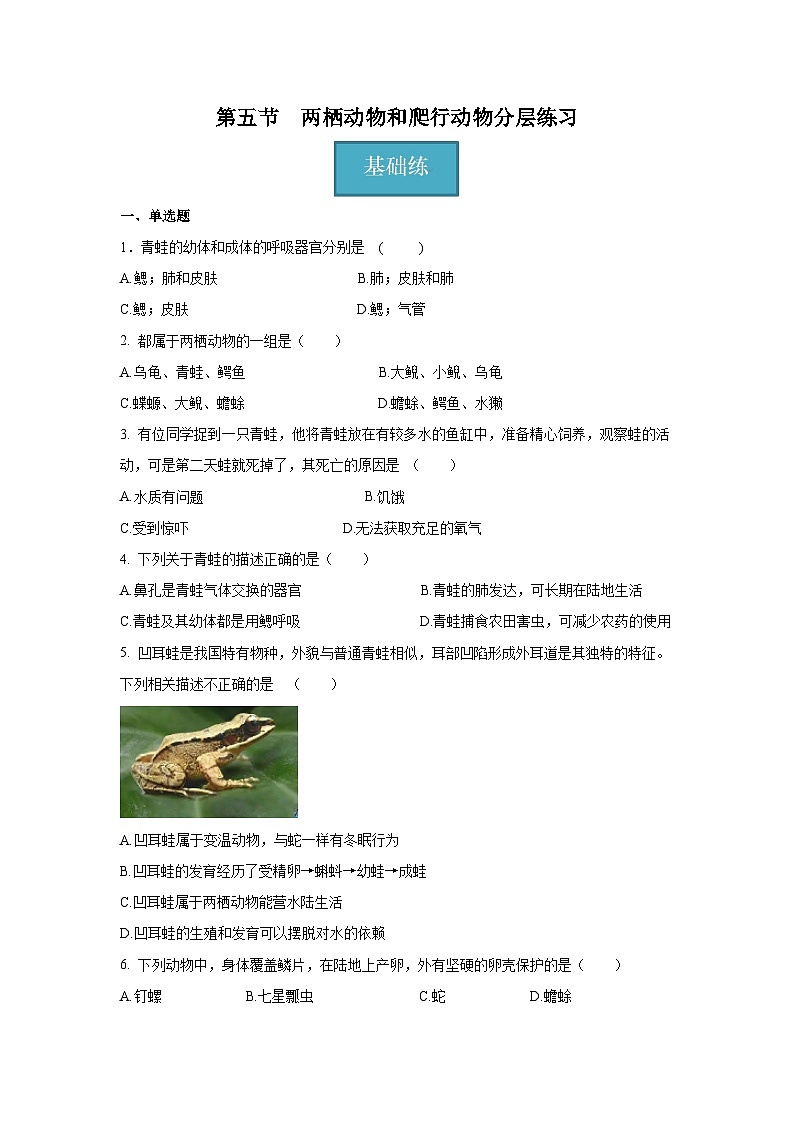 5.15 两栖动物和爬行动物（分层练习）（原卷版）第1页