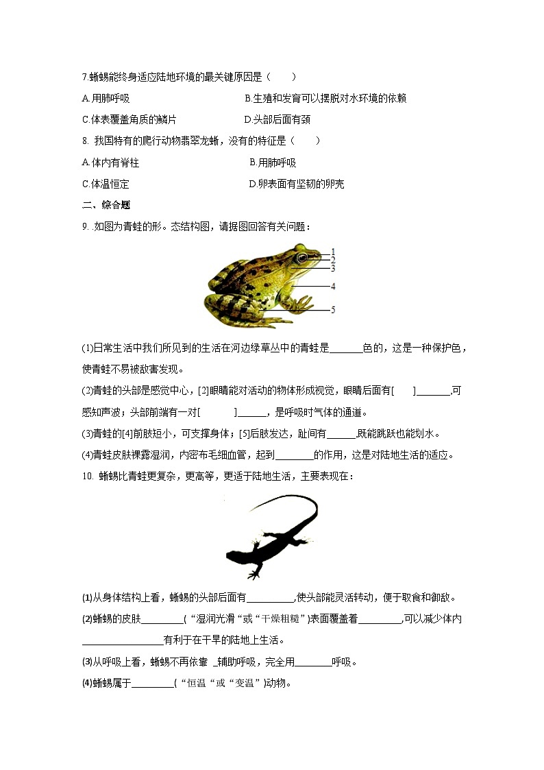 5.15 两栖动物和爬行动物（分层练习）（原卷版）第2页