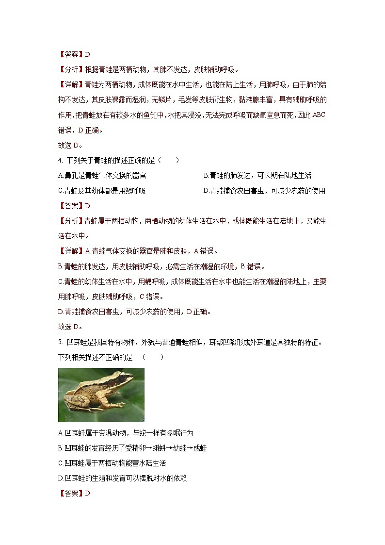 5.15 两栖动物和爬行动物（分层练习）（解析版）第2页
