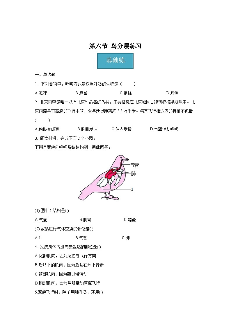 5.1.6+鸟（同步课件+同步练习）-2023-2024学年八年级生物上册同步精品课堂（人教版）01
