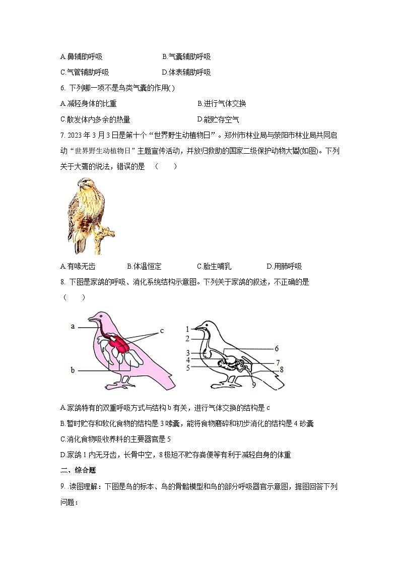 5.1.6+鸟（同步课件+同步练习）-2023-2024学年八年级生物上册同步精品课堂（人教版）02