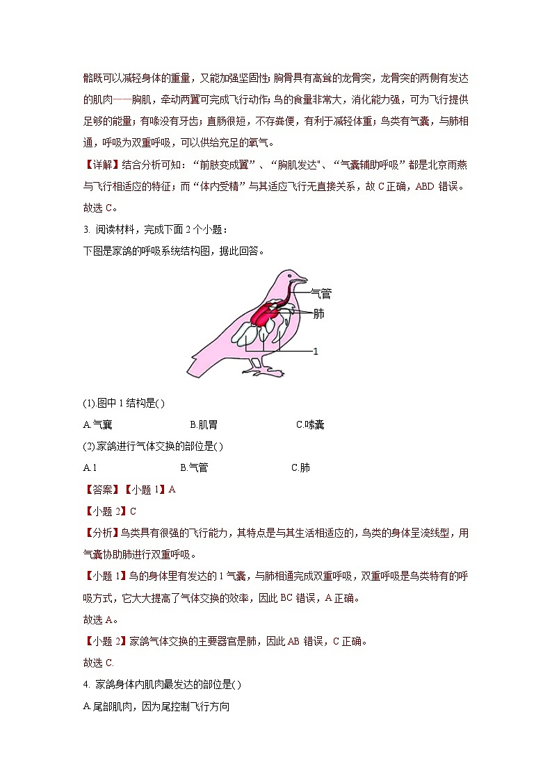 5.1.6+鸟（同步课件+同步练习）-2023-2024学年八年级生物上册同步精品课堂（人教版）02