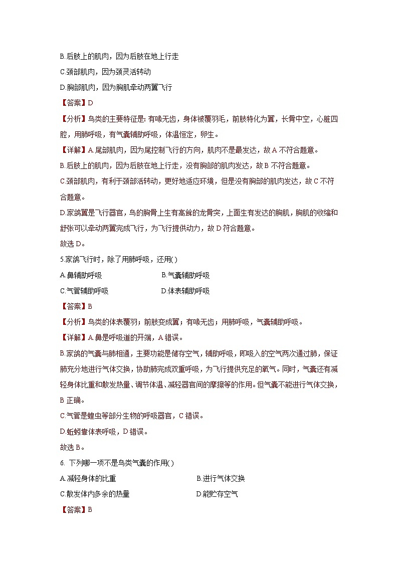 5.1.6+鸟（同步课件+同步练习）-2023-2024学年八年级生物上册同步精品课堂（人教版）03