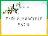 5.1.6+鸟（同步课件+同步练习）-2023-2024学年八年级生物上册同步精品课堂（人教版）