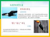 5.1.6+鸟（同步课件+同步练习）-2023-2024学年八年级生物上册同步精品课堂（人教版）