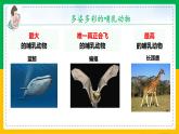 5.1.7+哺乳动物（同步课件+同步练习）-2023-2024学年八年级生物上册同步精品课堂（人教版）