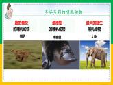5.1.7+哺乳动物（同步课件+同步练习）-2023-2024学年八年级生物上册同步精品课堂（人教版）