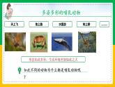 5.1.7+哺乳动物（同步课件+同步练习）-2023-2024学年八年级生物上册同步精品课堂（人教版）