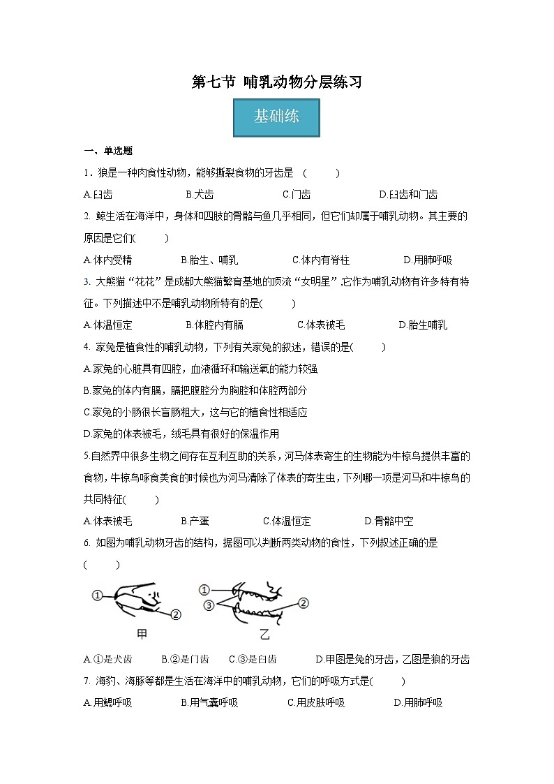 5.1.7 哺乳动物（分层练习 ）（原卷版）第1页