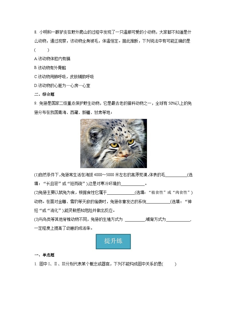 5.1.7 哺乳动物（分层练习 ）（原卷版）第2页