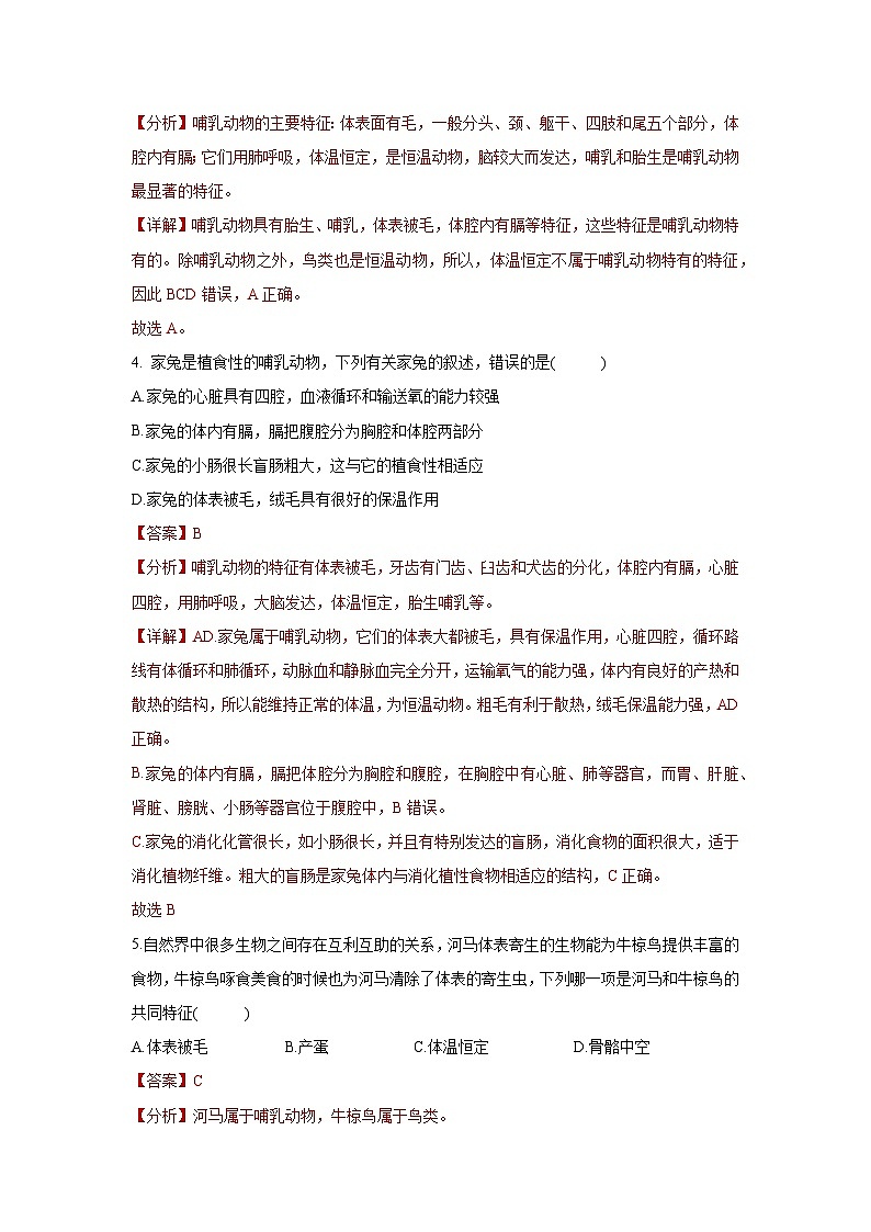 5.1.7 哺乳动物（分层练习 ）（解析版）第2页