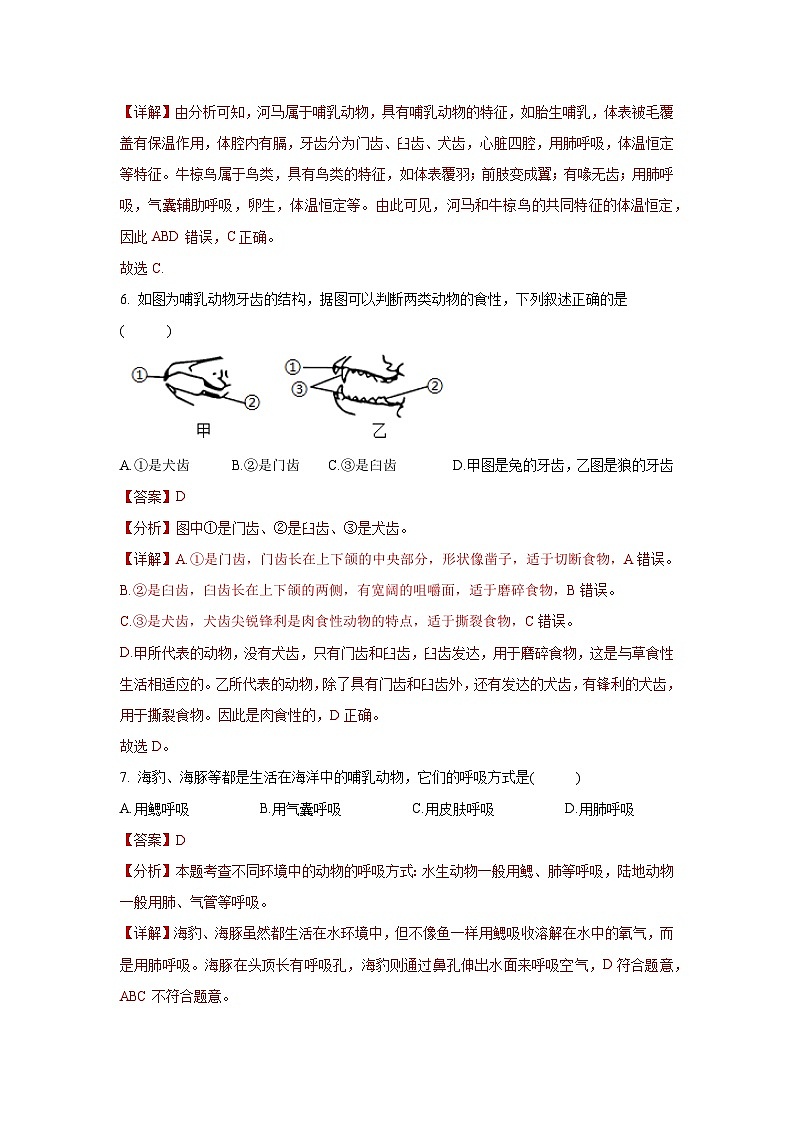 5.1.7 哺乳动物（分层练习 ）（解析版）第3页