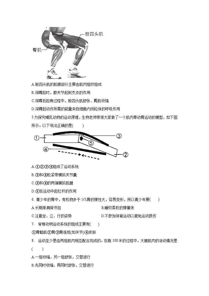 5.2 动物的运动和行为（章末测试）（原卷版）第2页