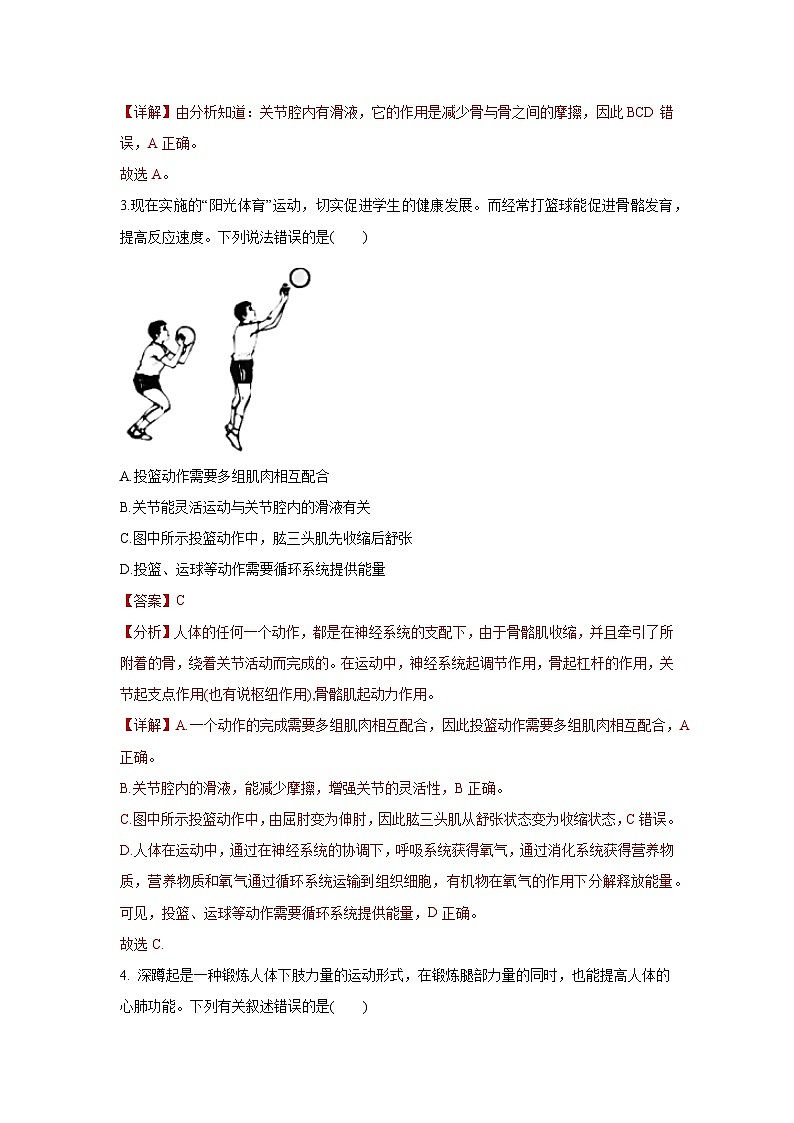 5.2 动物的运动和行为（章末测试）（解析版）第2页