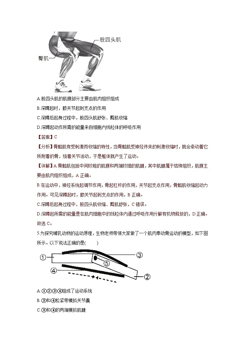 5.2 动物的运动和行为（章末测试）（解析版）第3页