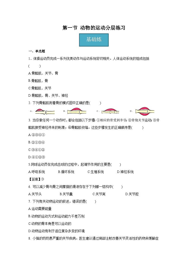 5.2.1 动物的运动（分层练习） （原卷版）第1页