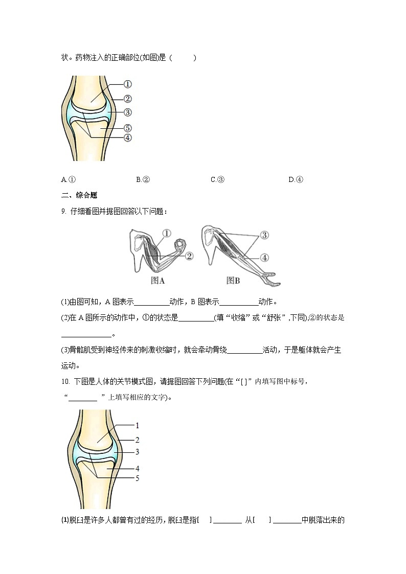 5.2.1 动物的运动（分层练习） （原卷版）第2页