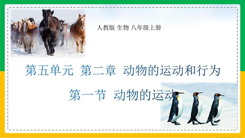 5.2.1+动物的运动（教学课件）-2023-2024学年八年级生物上册同步精品课堂（人教版）第1页