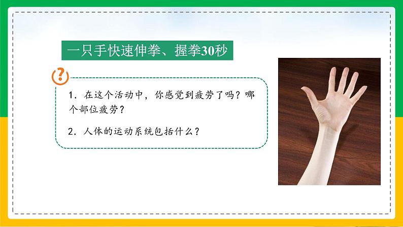 5.2.1+动物的运动（教学课件）-2023-2024学年八年级生物上册同步精品课堂（人教版）第4页