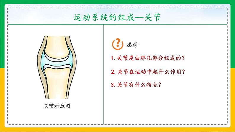 5.2.1+动物的运动（教学课件）-2023-2024学年八年级生物上册同步精品课堂（人教版）第8页