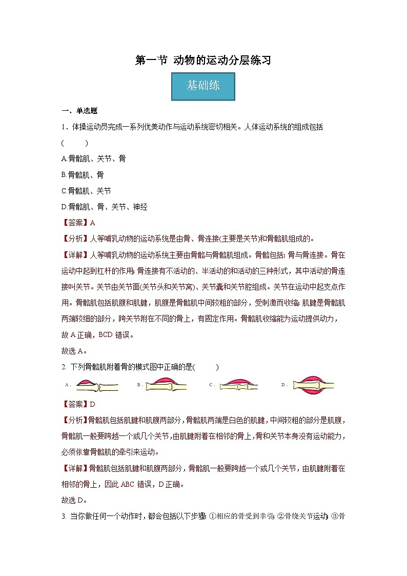 5.2.1 动物的运动（分层练习） （解析版）第1页