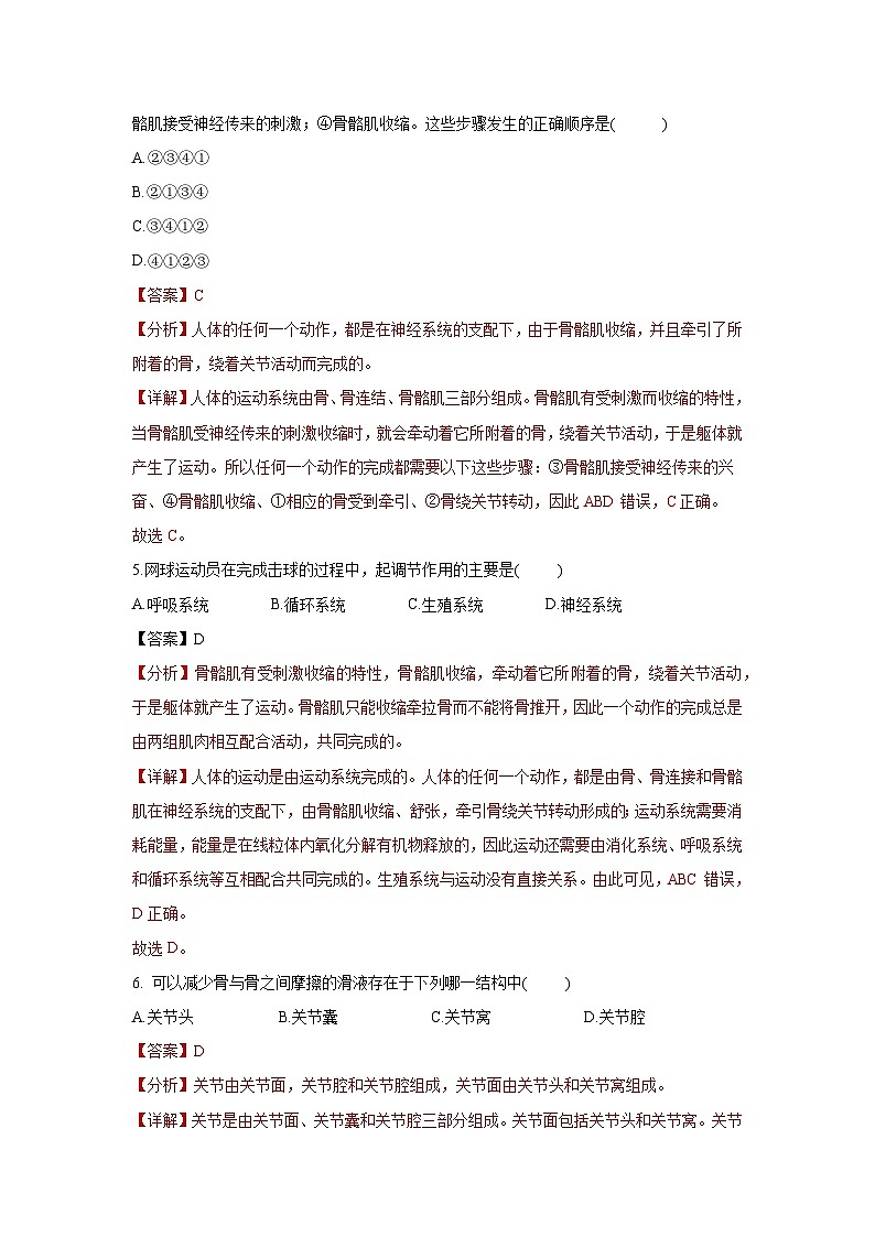 5.2.1 动物的运动（分层练习） （解析版）第2页