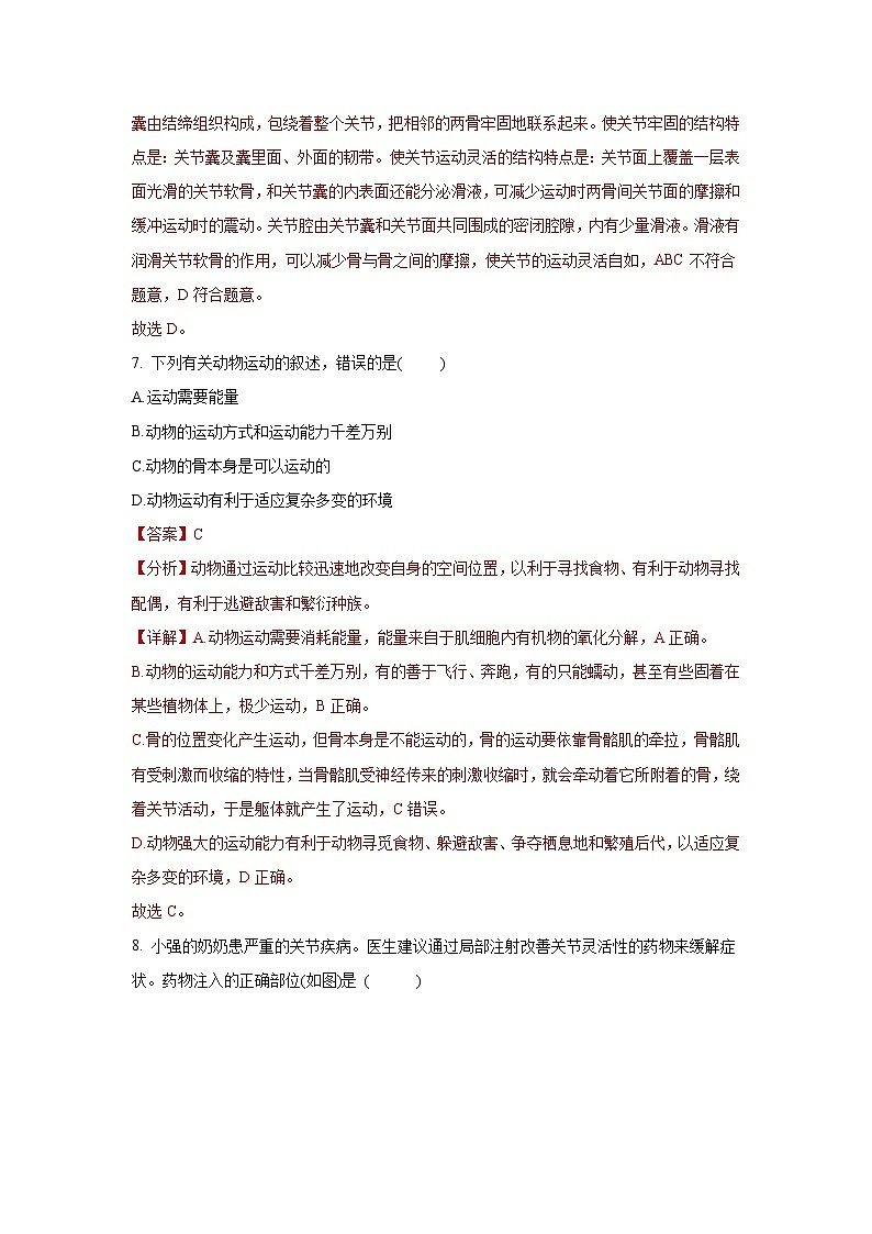 5.2.1 动物的运动（分层练习） （解析版）第3页
