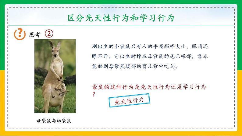 5.2.2+先天性行为和学习行为（教学课件）-2023-2024学年八年级生物上册同步精品课堂（人教版）第7页