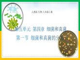 5.4.1+细菌和真菌的分布（同步课件+同步练习）-2023-2024学年八年级生物上册同步精品课堂（人教版）